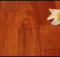 lantai kayu merbau murah per meter